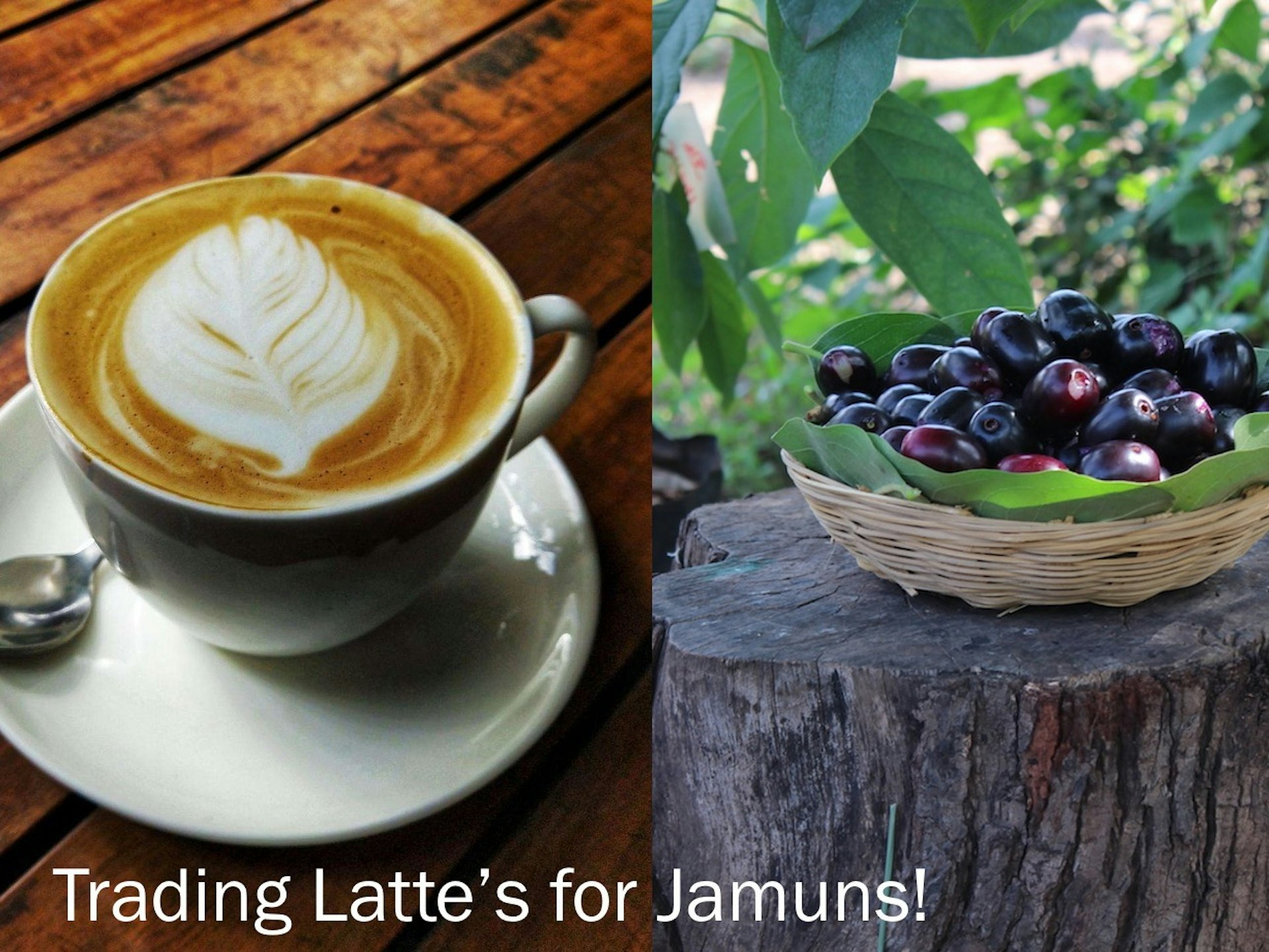 Trading Latte’s for Jamuns!0