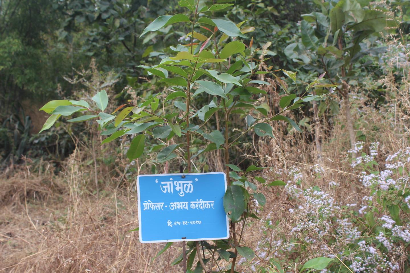 Prof. Abhay Karandikar1